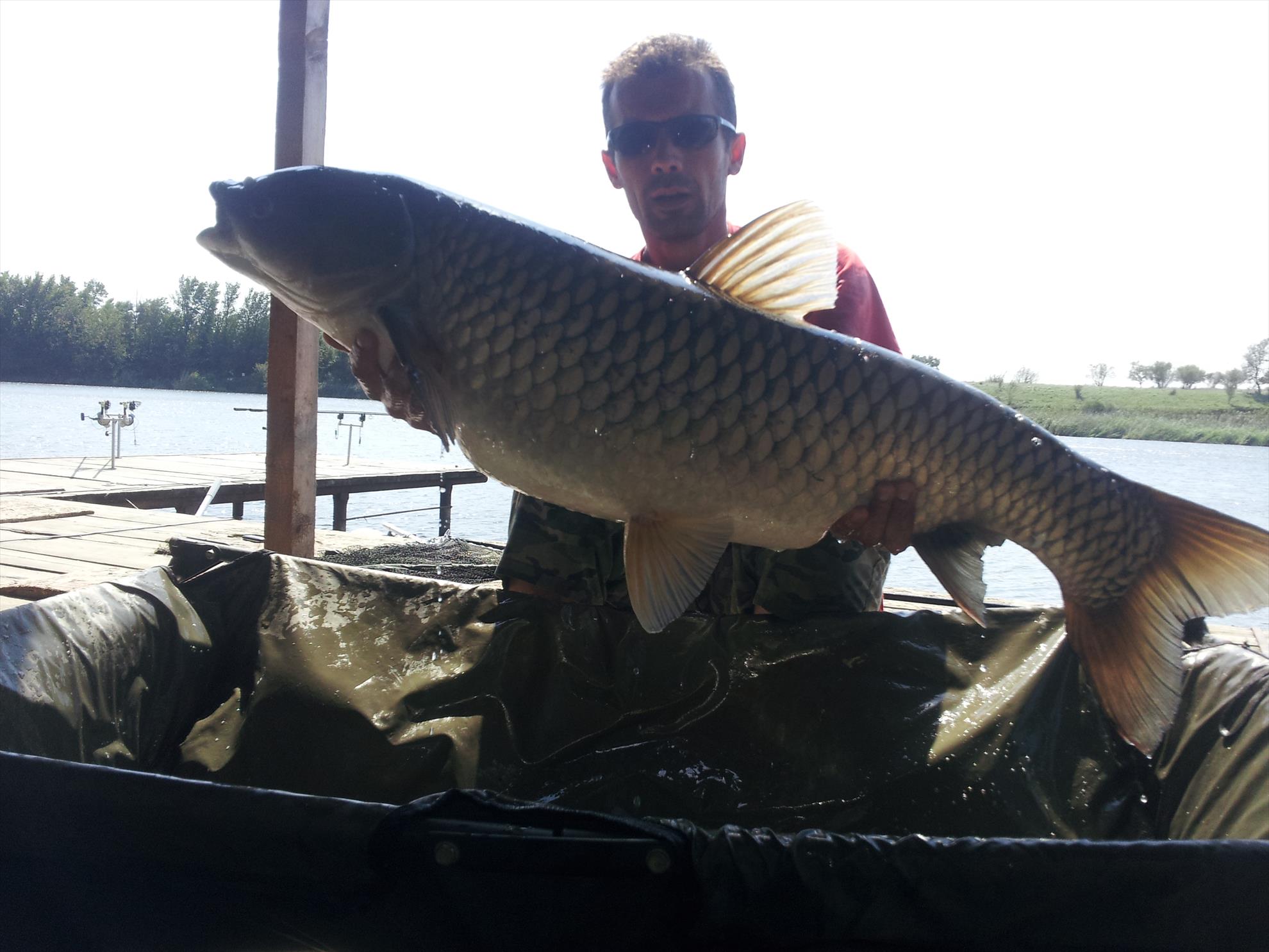 Tancabesti 31 august - 7 septembrie 2014 - 20140905130814.jpg